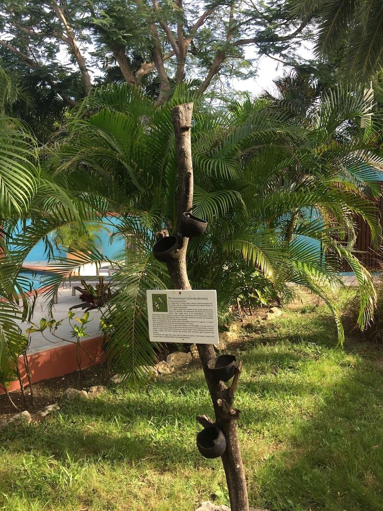 Buccaneer Beach Club Dickenson Bay Bagian luar foto