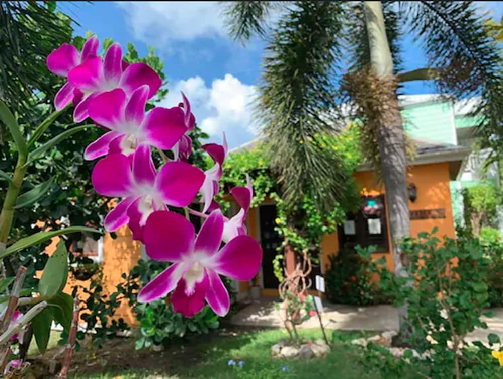 Buccaneer Beach Club Dickenson Bay Bagian luar foto