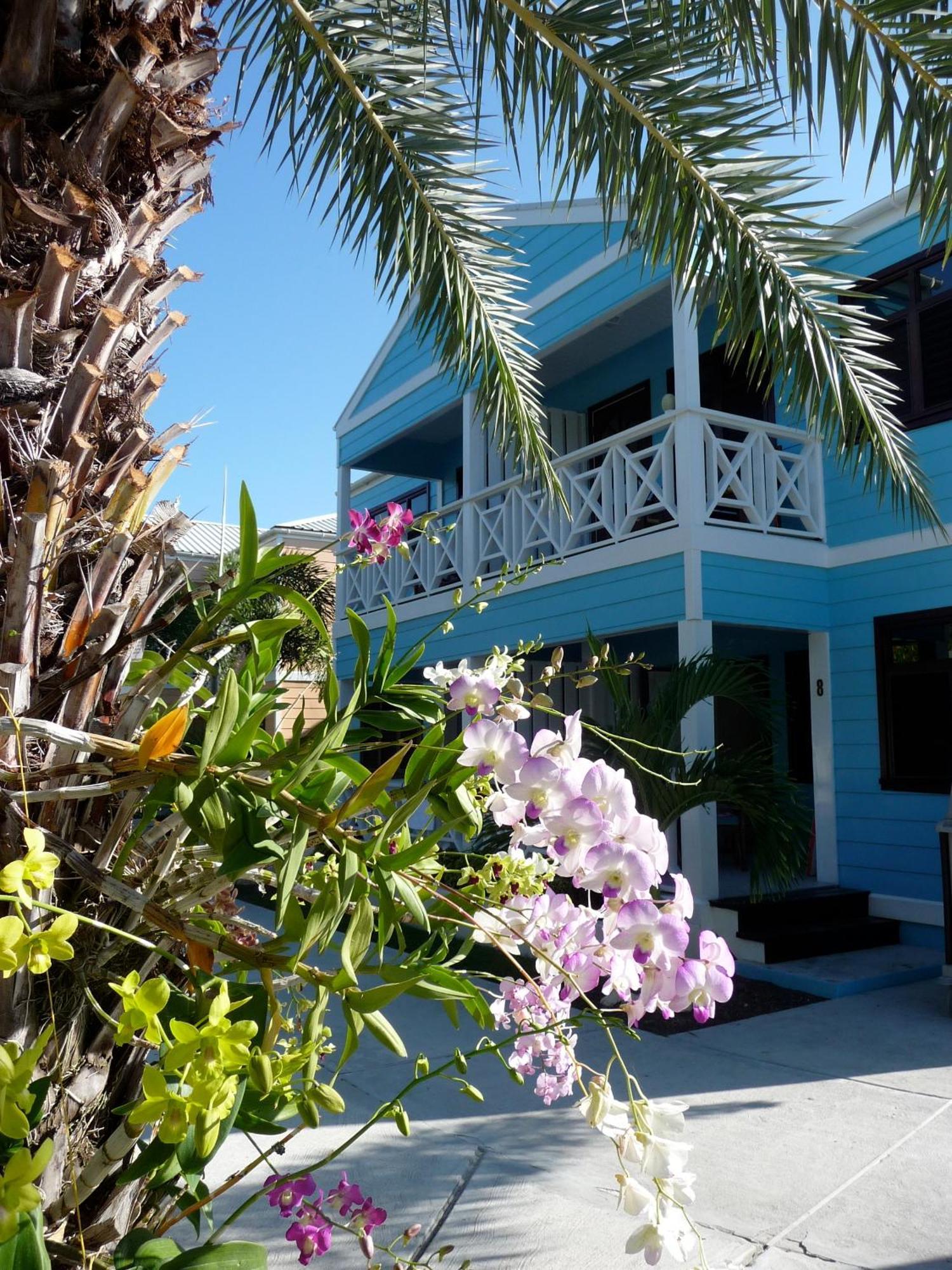 Buccaneer Beach Club Dickenson Bay Bagian luar foto