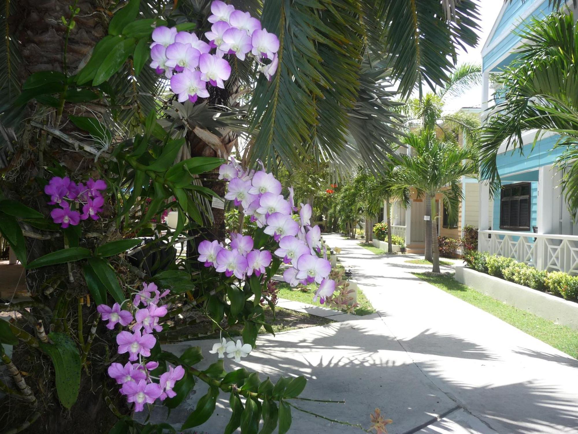 Buccaneer Beach Club Dickenson Bay Bagian luar foto
