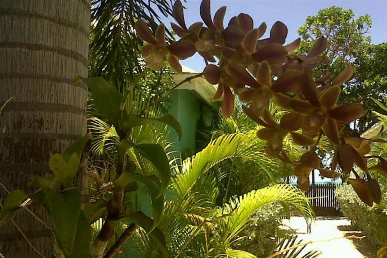 Buccaneer Beach Club Dickenson Bay Bagian luar foto