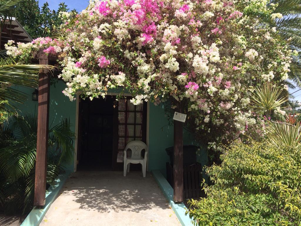 Buccaneer Beach Club Dickenson Bay Bagian luar foto