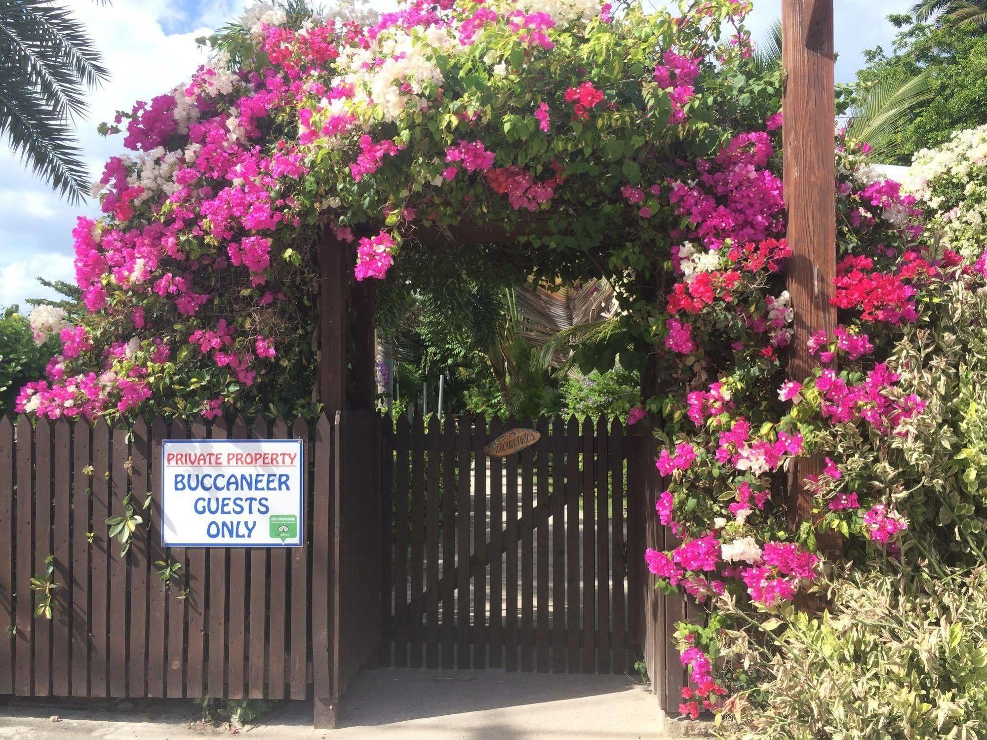 Buccaneer Beach Club Dickenson Bay Bagian luar foto